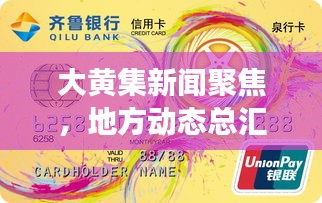 大黄集新闻聚焦，地方动态总汇，多元发展展现眼前