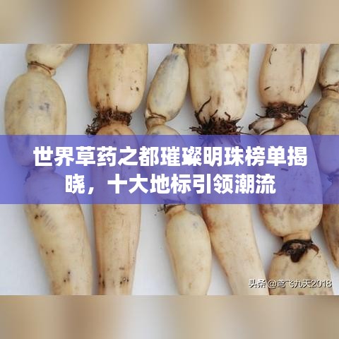 世界草药之都璀璨明珠榜单揭晓，十大地标引领潮流