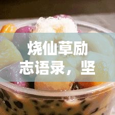 烧仙草励志语录，坚持与奋斗的力量源泉