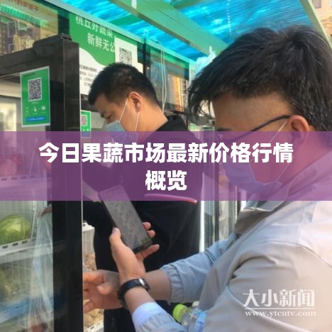 今日果蔬市场最新价格行情概览