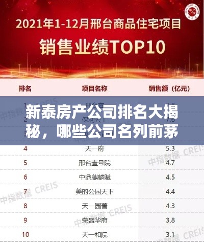 新泰房产公司排名大揭秘，哪些公司名列前茅？