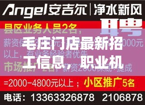 毛庄门店最新招工信息，职业机会与前景展望，不容错过！