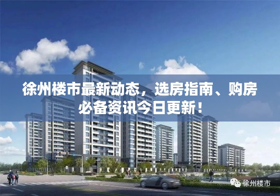 徐州楼市最新动态，选房指南、购房必备资讯今日更新！