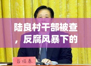 陆良村干部被查，反腐风暴下的重磅新闻