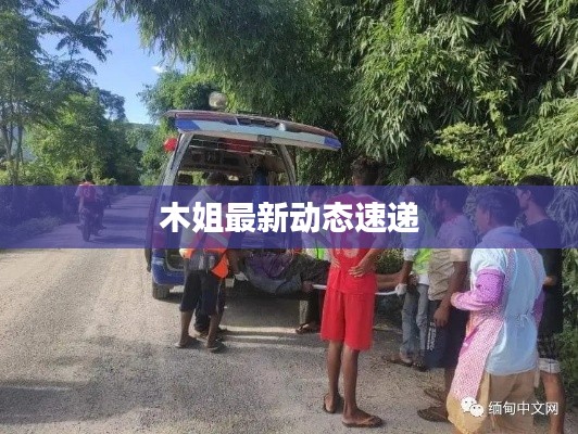 木姐最新动态速递