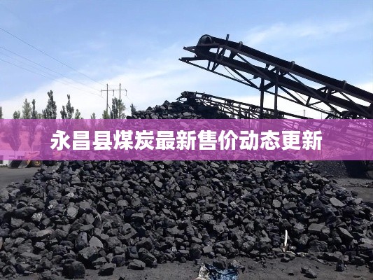 永昌县煤炭最新售价动态更新