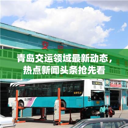 青岛交运领域最新动态，热点新闻头条抢先看