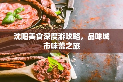 沈阳美食深度游攻略，品味城市味蕾之旅