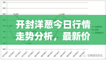 开封洋葱今日行情走势分析，最新价格揭秘