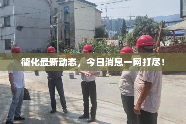 衢化最新动态，今日消息一网打尽！