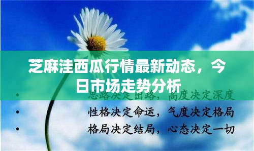 芝麻洼西瓜行情最新动态，今日市场走势分析