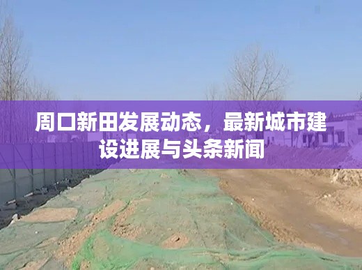 周口新田发展动态，最新城市建设进展与头条新闻