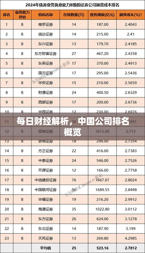 每日财经解析，中国公司排名概览