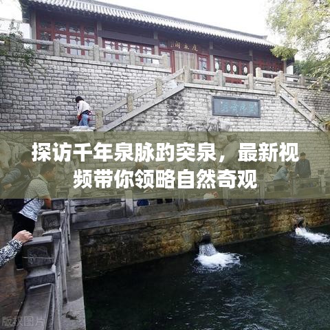 探访千年泉脉趵突泉，最新视频带你领略自然奇观