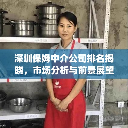 深圳保姆中介公司排名揭晓，市场分析与前景展望