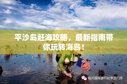 平沙岛赶海攻略，最新指南带你玩转海岛！