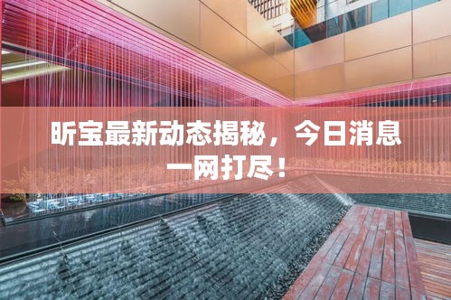 昕宝最新动态揭秘，今日消息一网打尽！