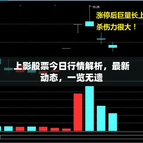 上影股票今日行情解析，最新动态，一览无遗