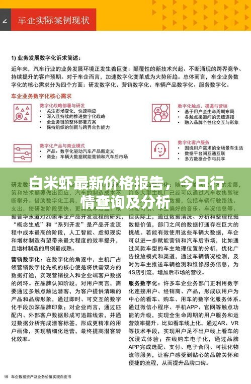 白米虾最新价格报告，今日行情查询及分析