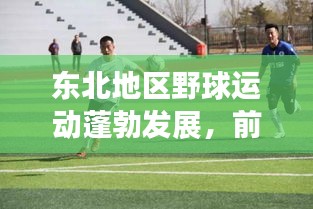 东北地区野球运动蓬勃发展，前十名球队深度解析