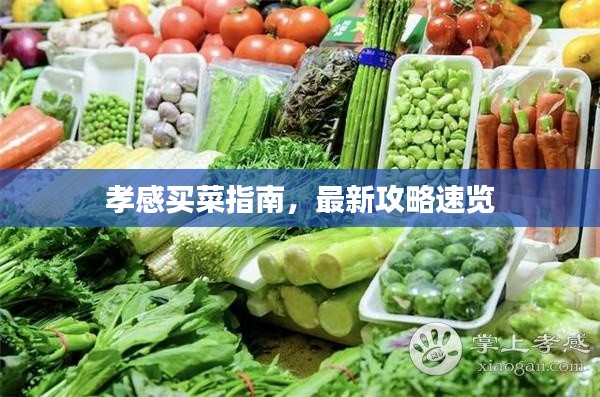 孝感买菜指南，最新攻略速览