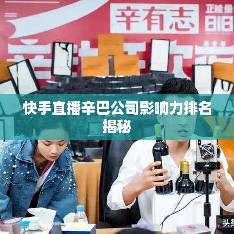 快手直播辛巴公司影响力排名揭秘