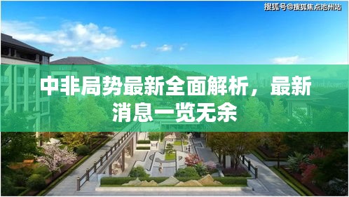 中非局势最新全面解析，最新消息一览无余