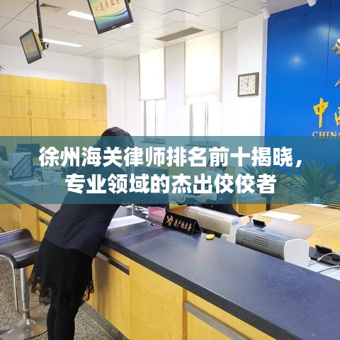 徐州海关律师排名前十揭晓，专业领域的杰出佼佼者