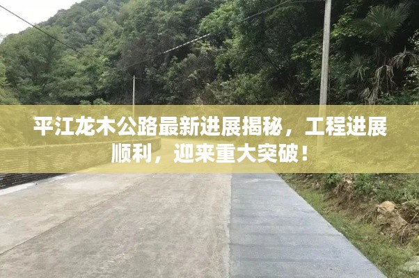 平江龙木公路最新进展揭秘，工程进展顺利，迎来重大突破！