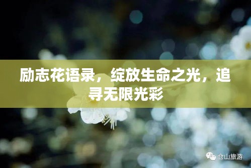 励志花语录，绽放生命之光，追寻无限光彩
