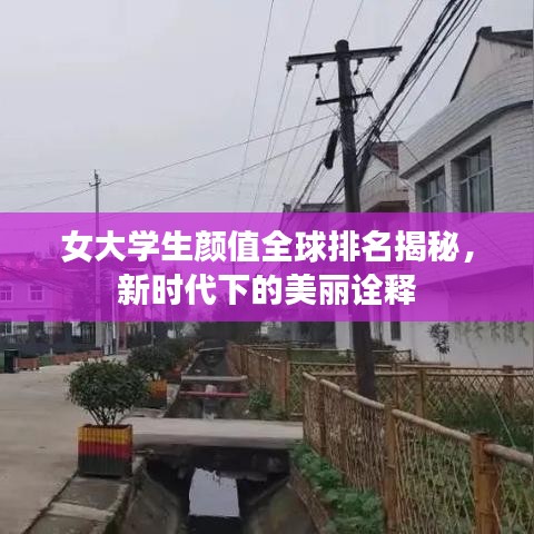 女大学生颜值全球排名揭秘，新时代下的美丽诠释