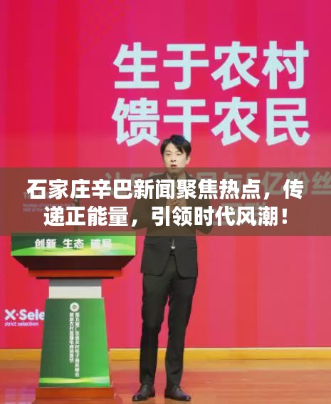 石家庄辛巴新闻聚焦热点，传递正能量，引领时代风潮！
