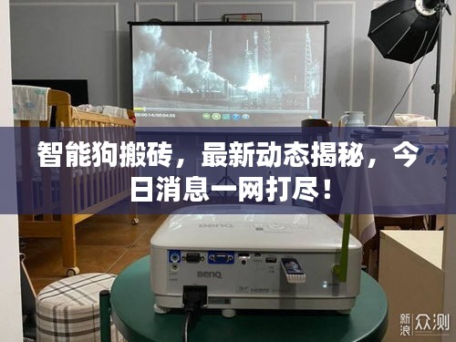 智能狗搬砖，最新动态揭秘，今日消息一网打尽！