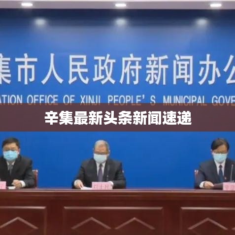辛集最新头条新闻速递