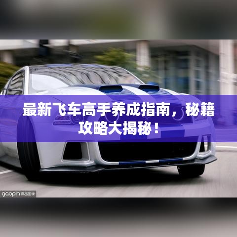 最新飞车高手养成指南，秘籍攻略大揭秘！