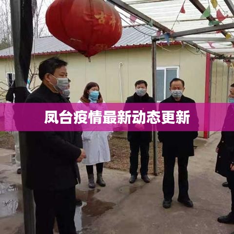 凤台疫情最新动态更新