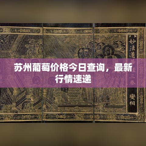 苏州葡萄价格今日查询，最新行情速递