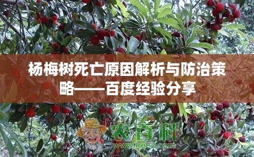 杨梅树死亡原因解析与防治策略——百度经验分享