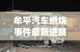 牟平汽车燃烧事件最新进展揭秘！
