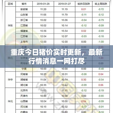 重庆今日猪价实时更新，最新行情消息一网打尽