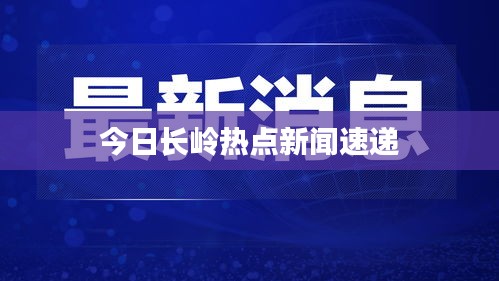 今日长岭热点新闻速递