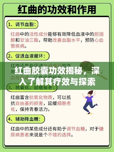 红曲胶囊功效揭秘，深入了解其疗效与探索