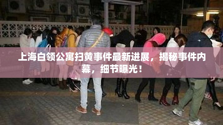 上海白领公寓扫黄事件最新进展，揭秘事件内幕，细节曝光！