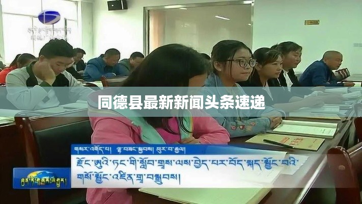 同德县最新新闻头条速递