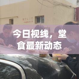 今日视线，堂食最新动态全面解读