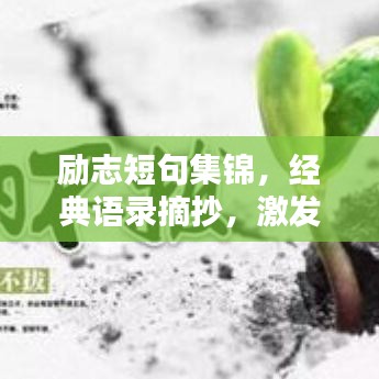 励志短句集锦，经典语录摘抄，激发无限潜能！