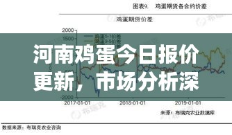 河南鸡蛋今日报价更新，市场分析深度解读