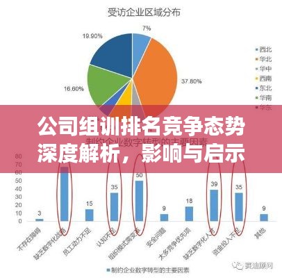 公司组训排名竞争态势深度解析，影响与启示