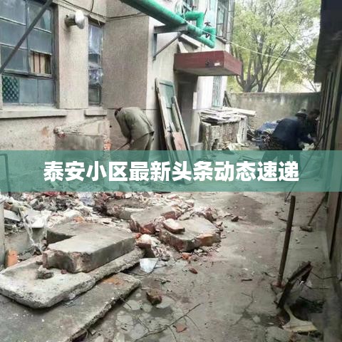 泰安小区最新头条动态速递