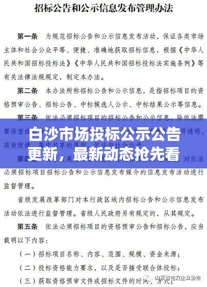 白沙市场投标公示公告更新，最新动态抢先看